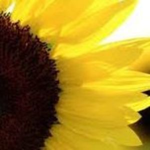 Meet your Posher, Candice